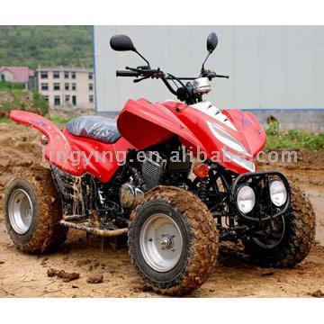  250cc / 300cc ATV (250cc / 300cc ATV)