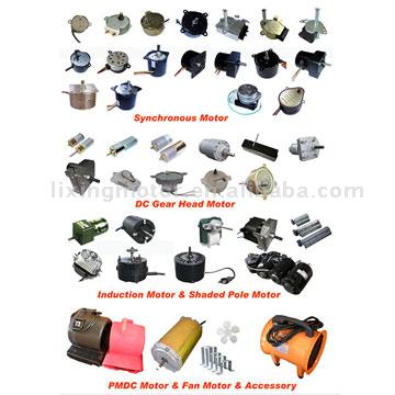  Micro Motors (Micro Motors)