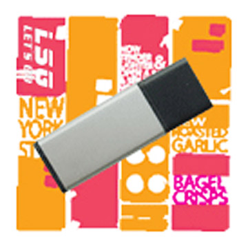  Flash Disk (Flash Disk)