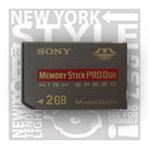  CF Digital Memory Card (CF Digital Memory Card)