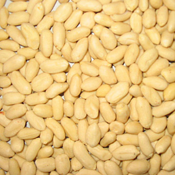  Blanched Kernels (Бланшированных ядер)