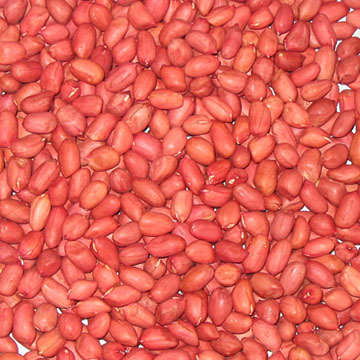  Four Kerneled Peanuts with Red Skin (Quatre Kerneled Cacahuètes au Red Skin)