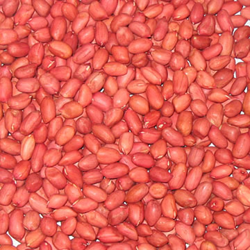  Four Kerneled Peanuts with Red Skin (Четыре Kerneled Арахис с красной кожи)