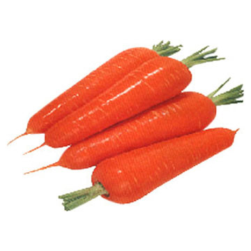  Fresh Carrots (Свежей моркови)