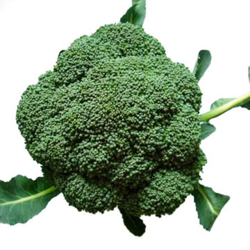  Fresh Broccoli (Свежая брокколи)
