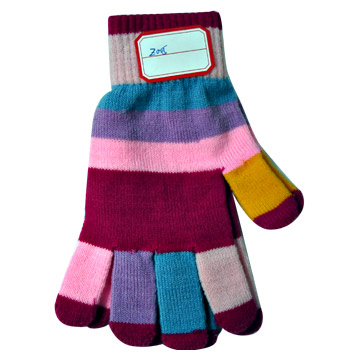  Women`s Knitted Glove ( Women`s Knitted Glove)