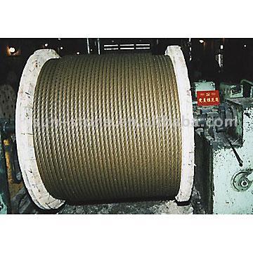  Wire Rope And High Carbon Galvanized Wire (Трос и Верховный углерода оцинкованной проволоки)