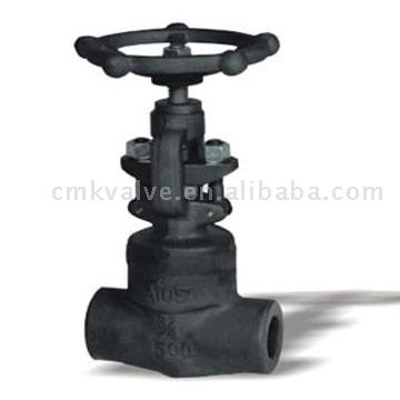  Forged Steel Globe Valve