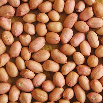  Peanut Kernels (Ядра арахиса)