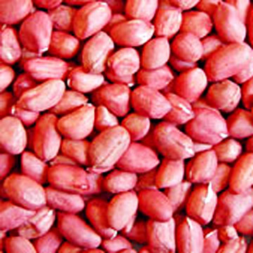  Round Dark Red Skin Peanut Kernels ( Round Dark Red Skin Peanut Kernels)