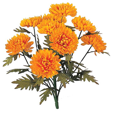  Chrysanthemum Bushes (Chrysanthemum Bushes)