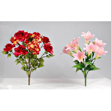  Rose and Cally Lily Bushes