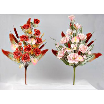 Magnolia Bushes (Hand-Wrapped)
