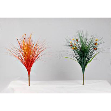  Onion Grass Bushes