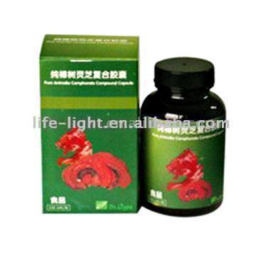  Pure Antrodia Camphorate Compound Capsule (Чистая Antrodia Camphorate Подворье Capsule)