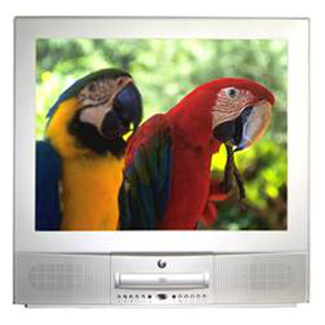  14" / 21" TV / DVD Combo ( 14" / 21" TV / DVD Combo)