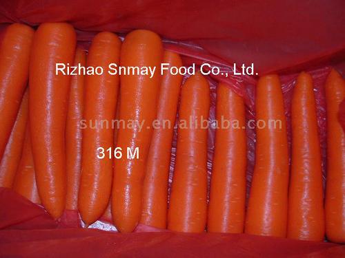 Frische Karotten (Frische Karotten)