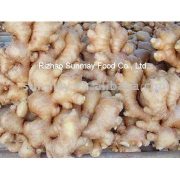  Air-Dry Ginger (Air-Dry Ginger)