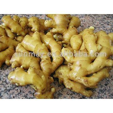 Fresh Ginger (Small Size) (Gingembre frais (petite taille))