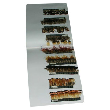  Feather Trimming ( Feather Trimming)