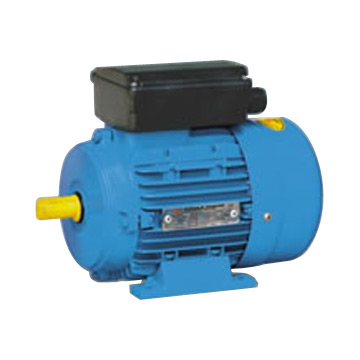  Single Phase Capacitor Start Motor