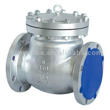  Check Valve (Rückschlagventil)