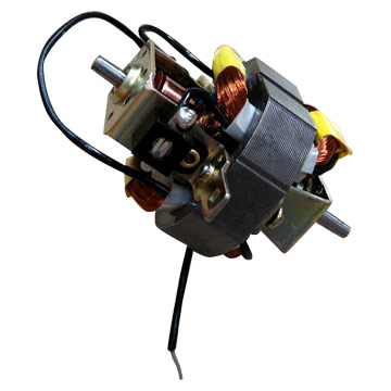 Hair Drier Motor ( Hair Drier Motor)