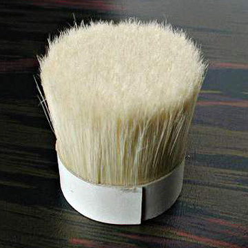  Bristle (Bristle)