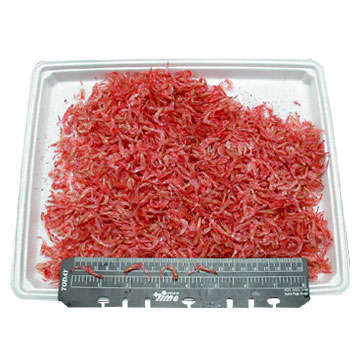  Dried Shrimps (Crevettes séchées)