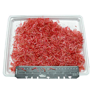  Dried Shrimps ( Dried Shrimps)