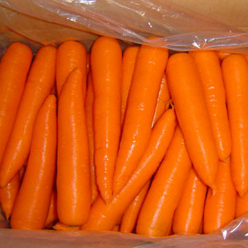  Fresh Carrots (Свежей моркови)