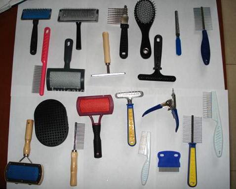  Horse Brushes ( Horse Brushes)
