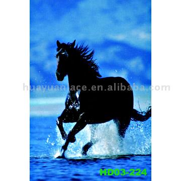  Blanket (Couverture)