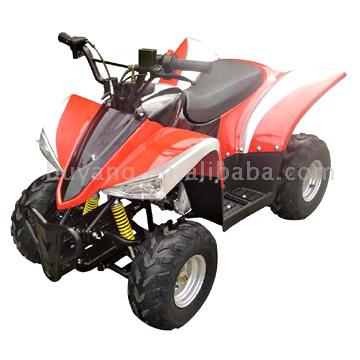  ATV (110cc) ( ATV (110cc))