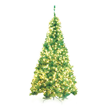 Weihnachtsbaum mit Beleuchtung (Weihnachtsbaum mit Beleuchtung)