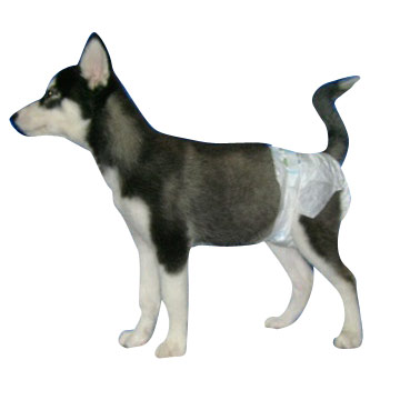  High Quality Pet Diaper ( High Quality Pet Diaper)