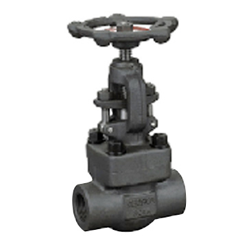  Forged Steel Globe Valve