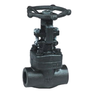  Forged Steel Gate Valve