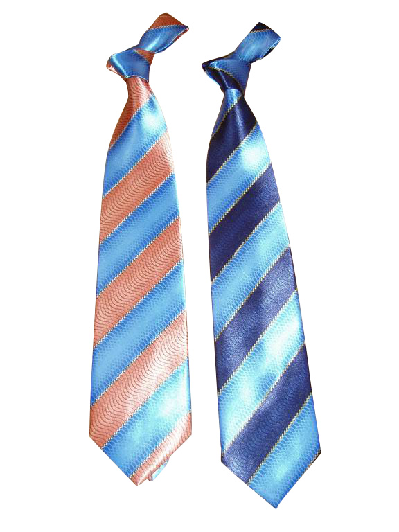  Polyester Printed Necktie ( Polyester Printed Necktie)