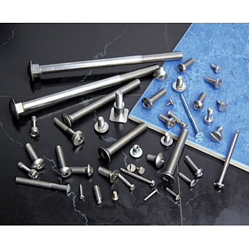  Stainless Steel Screws ( Stainless Steel Screws)