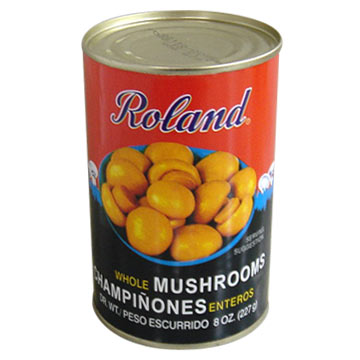  Canned Mushroom ( Canned Mushroom)