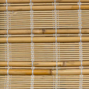  Bamboo and Reed Blind (Bamboo Blind et Reed)