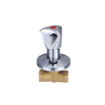  Valve ( Valve)