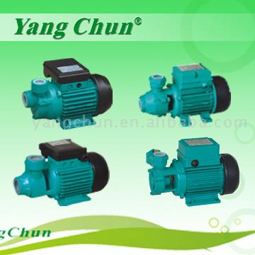  Vortex Pumps (Vortex Pumpen)