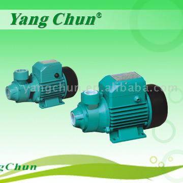  Vortex Pumps (Vortex Pumpen)