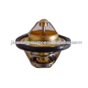  Thermostat ( Thermostat)