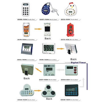  Digital Timers (Цифровые таймеры)