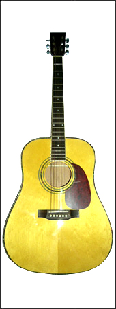  Acoustic Guitar (Acoustic Guitar)