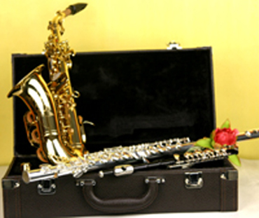  Guitar Bags ( Guitar Bags)