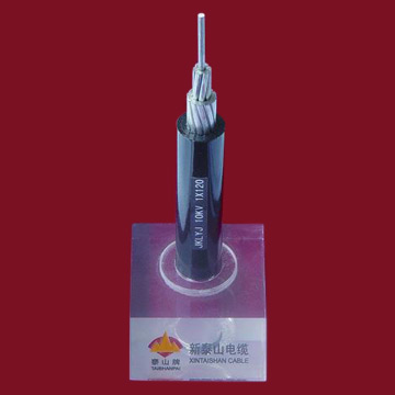 Cable (Parallel Bunched Aerial Cable) ( Cable (Parallel Bunched Aerial Cable))
